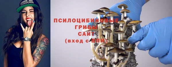 ГАЛЛЮЦИНОГЕННЫЕ ГРИБЫ Краснотурьинск