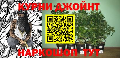 прущая мука Заводоуковск