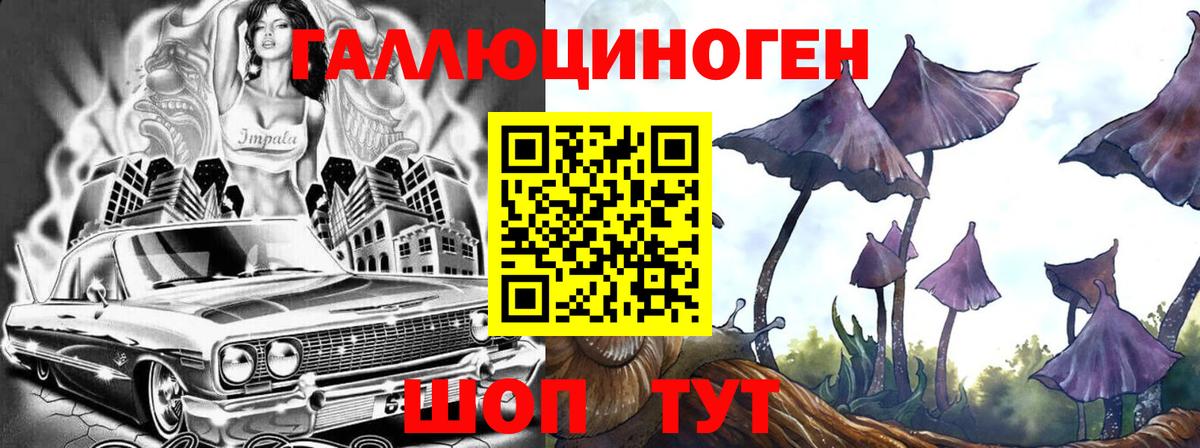Псилоцибиновые грибы Psilocybine cubensis Северодвинск